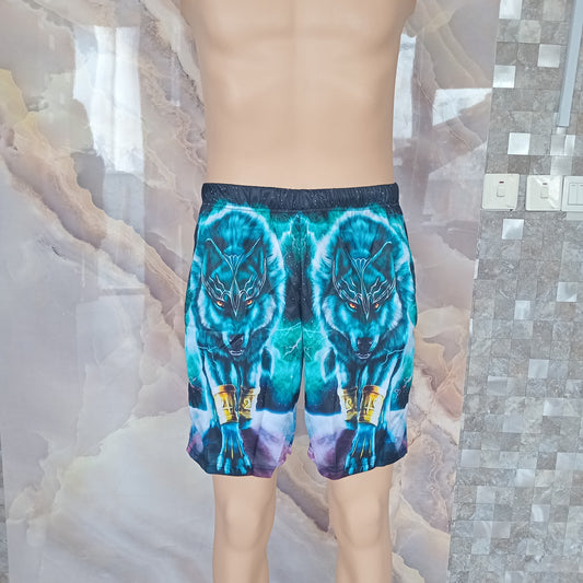 Ice Fox Shorts [Blue]