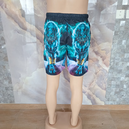 Ice Fox Shorts [Blue]